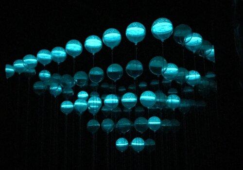 Pyramide vivante pyramide bioluminescente