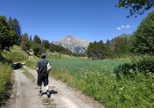randonneur sur chemin entouré des prairies de montagne