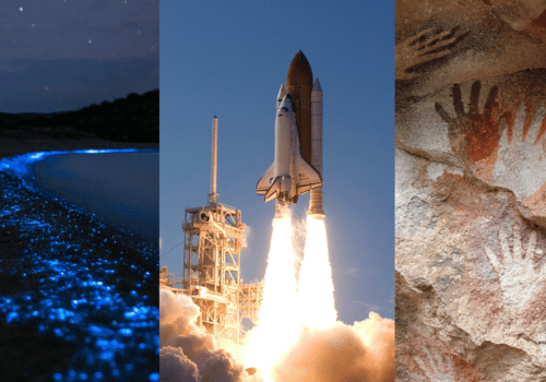 La bioluminescence, le décollage de fusée et les peintures préhistoriques