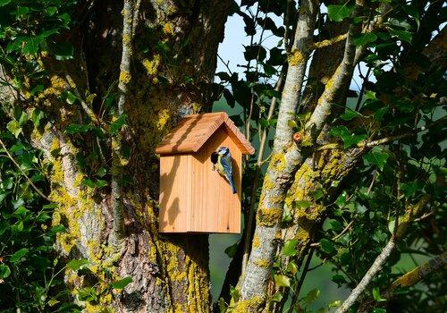 La nature est présente chez nous