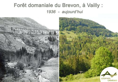 Comparaison de la forêt domaniale du Brevon entre 1936 et aujourd'hui