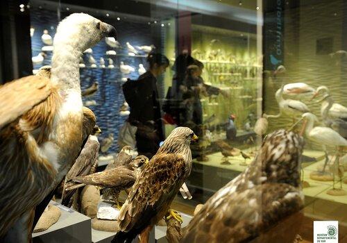 Le Muséum, une fenêtre sur la biodiversité. Le Muséum, une fenêtre sur la biodiversité.