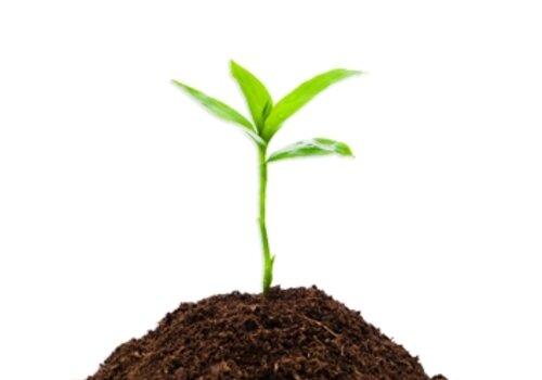 DU TRI DES DECHETS A LA VALORISATION DU COMPOST