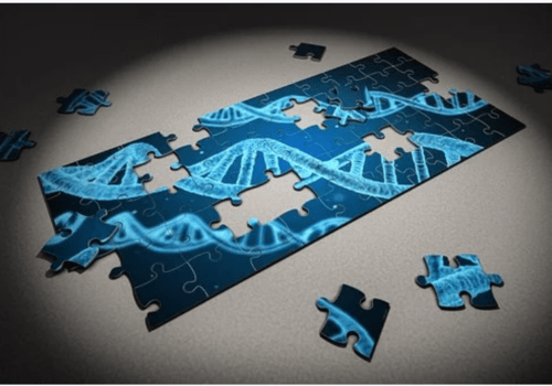 Puzzle ADN