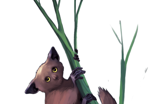 Aye-aye Aye-Aye