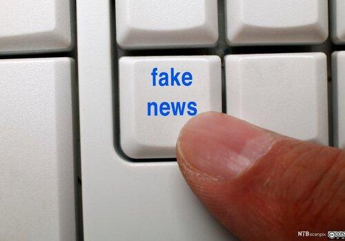 Cyber Infox fake news