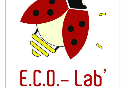 Journée départementale de l'EEDD84 Logo ECO-Lab'