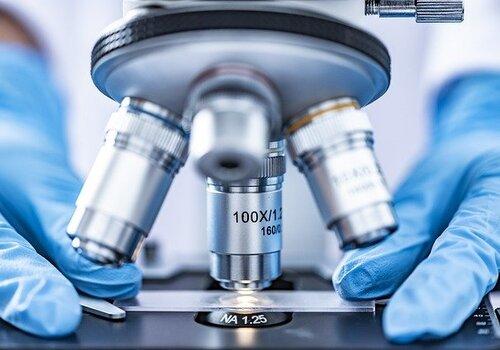 utiliser un microscope pour décrire des micro-organismes observation au microscope