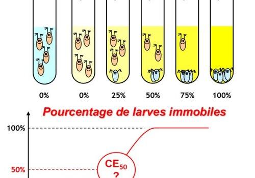 Le principe des tests d'écotxocité Principe des tests écotoxicologiques - gammes de concentration et courbe dose-réponse