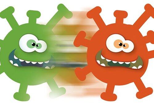 Dessin de 2 virus
