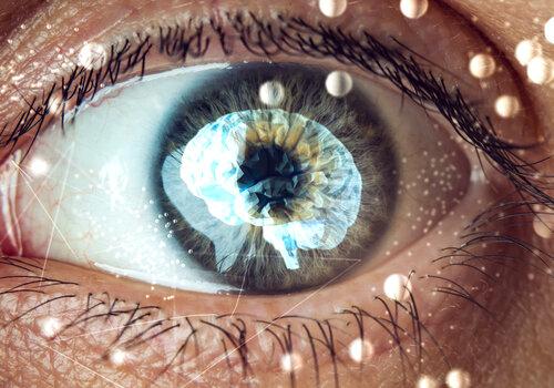 La science en effervescence Quand la science touche nos sens