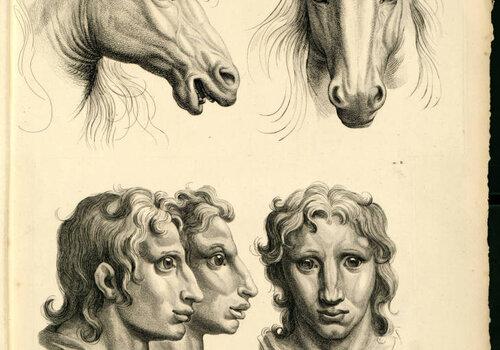 Dissertation sur un traité de Charles Le Brun, concernant le rapport de la physionomie humaine avec celle des animaux le rapport de la physionomie d'un homme avec celle d'un cheval