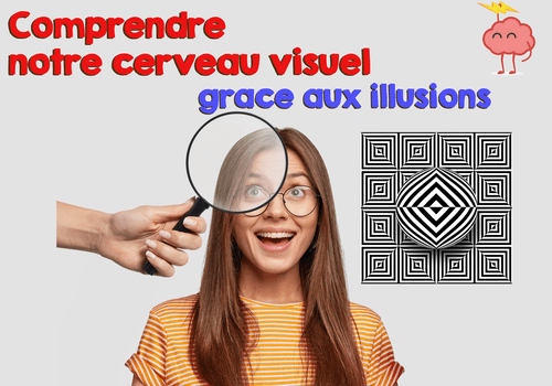 Comprendre notre cerveau visuel grâce aux illusions image