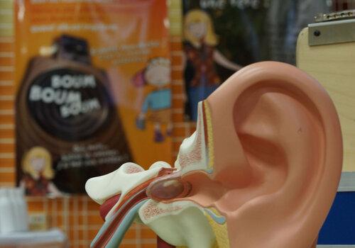 Modèle d'oreille Modèle d'oreille de la malle de découverte scientifique