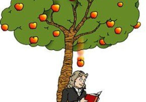 Newton
