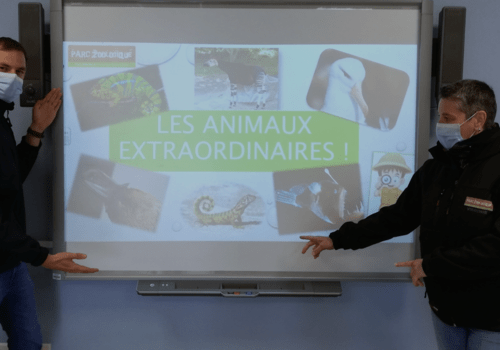 Extraordinaires animaux