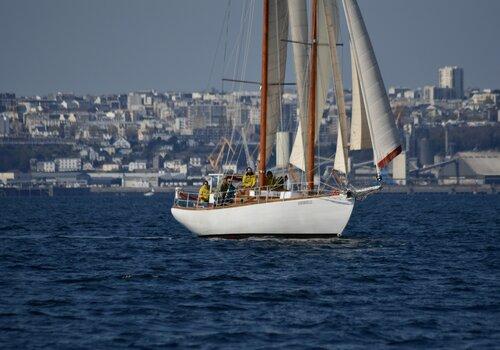 Hirondelle en rade de Brest Une expédition à la voile entièrement dédiée à la création d'outils de sensibilisation à une relation plus durable avec l'océan.