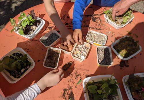 Atelier plantes