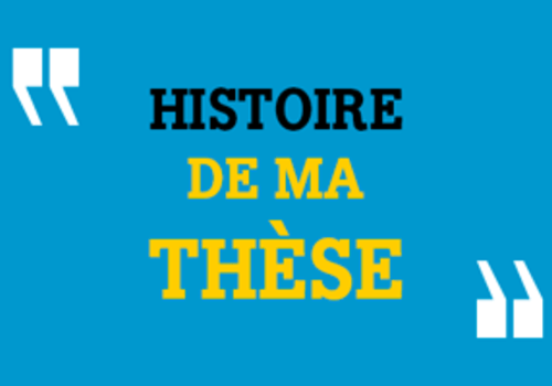 Histoire de ma thèse : Interview d’un doctorant Un doctorant présente les raisons de son inscription en thèse et du choix de son sujet. Il décrit sa méthode de travail, évoque ses premiers résultats, ses éventuelles applications industrielles ou sociales et envisage son avenir professionnel.