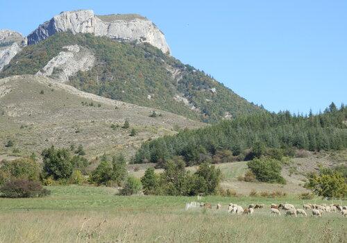 La biodiversité au pied de ceusette !