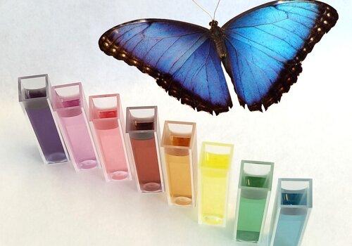 Solutions de nanoparticules de couleur différentes ainsi qu'un papillon Morpho