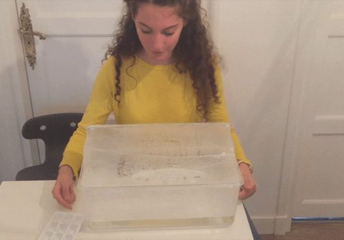 Fabrication d ela machine à pluie