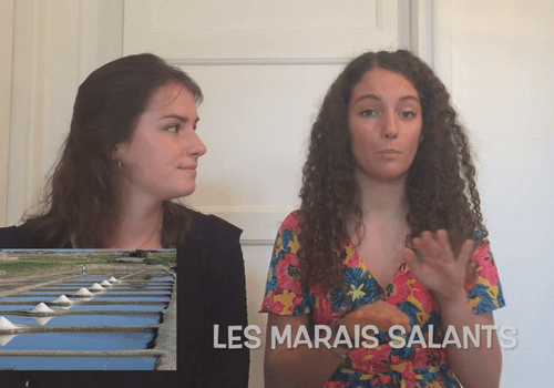 Fonctionnement des marais salants