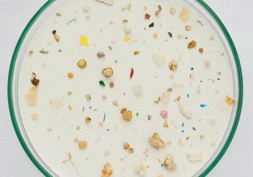 Microplastiques prélevés en rade de Brest Les observations in situ ont montré que l’ensemble de l’écosystème de la rade de Brest est contaminé par les microplastiques, avec des concentrations de 0,24 ± 0,35, et 0,97 ± 2,08 (moyenne ± écart-type).