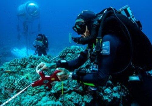 La CAPSULE permet aux plongeurs de vivre sous la mer en continu sur des périodes de plusieurs jours. Bien plus qu’un abri, elle permet d'approfondir le travail scientifique sous les océans. Au delà de la science qui tient une place prédominante pendant le programme Capsule, Under The Pole travaille pour sensibiliser aux menaces qui pèsent sur les récifs coralliens et la biodiversité qu’ils abritent à travers les documentaires, en donnant la parole aux scientifiques et via les programmes éducatifs menés dans les écoles.