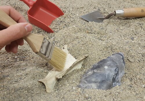 Fouille en cours d'un os et d'un silex...