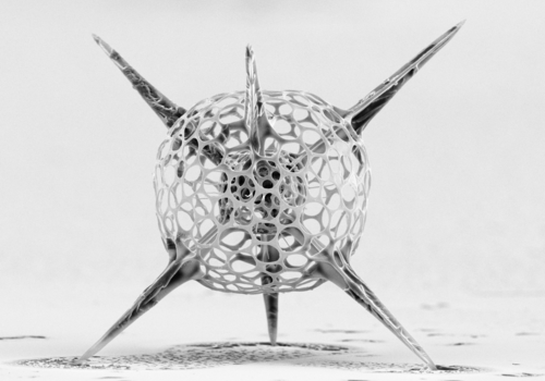 Rhizaria du genre spumellaria, photographiée au microscope electronique à balayage Un plancton permanant, largement distribué et abondant dans l'océan