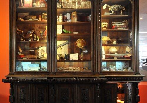Cabinet de curiosité