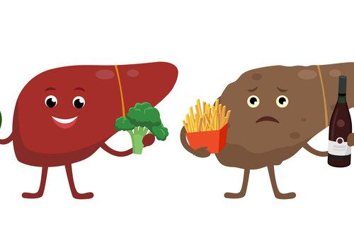 Un foie sain personnifié tient des légumes tandis qu'un foie malade tient des frites et du vin.