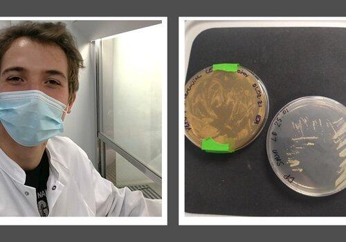 Atelier biofilms Atelier biofilms