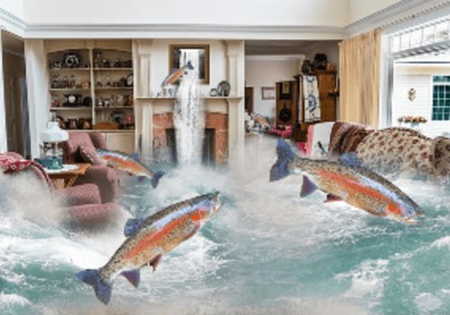 L'habitat dans la peau L'habitat dans la peau