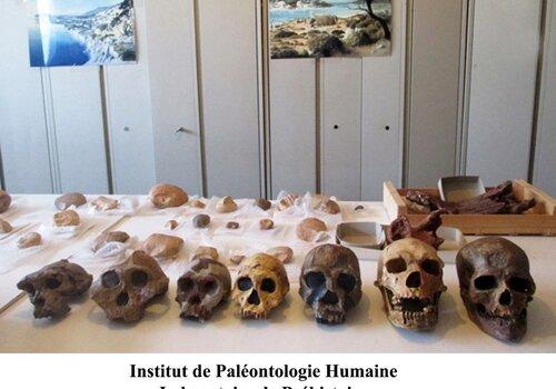 INSTITUT DE PALEONTOLOGIE HUMAINE - Laboratoire de Préhistoire Nice Côte d'Azur INSTITUT DE PALEONTOLOGIE HUMAINE - Laboratoire de Préhistoire Nice Côte d'Azur