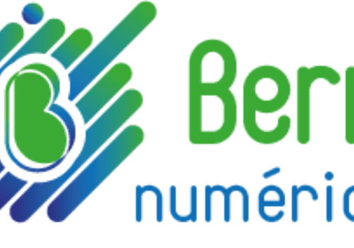 Déploiement de la fibre dans le Cher Berry Numérique, l'acteur public du numérique