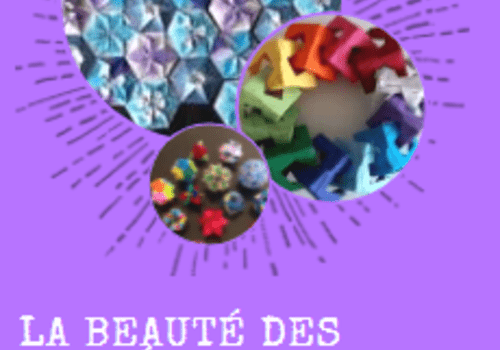 Origami: La beauté des mathématiques