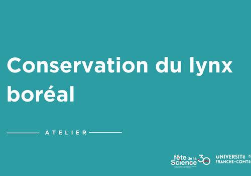Conservation du lynx boréal Conservation du lynx boréal