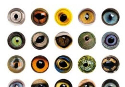 Et si on pensait aux animaux chez Le Pommier Couverture du livre de François Moutou