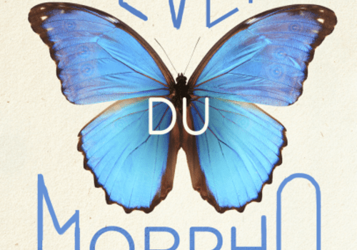 Couverture du livre L'éveil du morpho