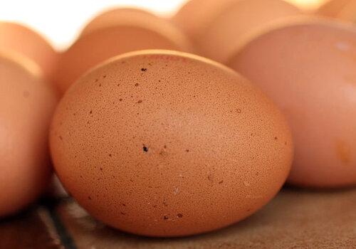 Cuisson des oeufs Cuisson des oeufs