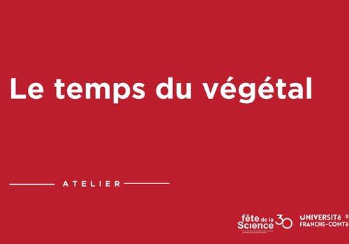 Le temps du végétal Le temps du végétal
