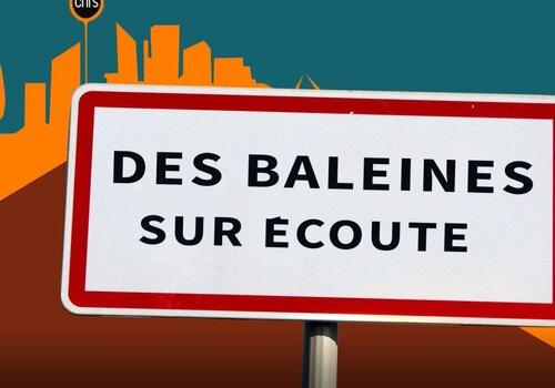 Baleines sur écoute