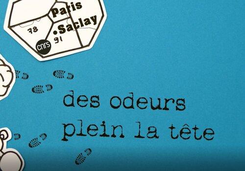 Des odeurs plein la tête