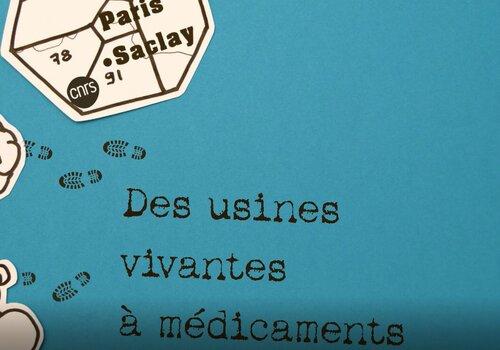 Usines vivantes à médicaments