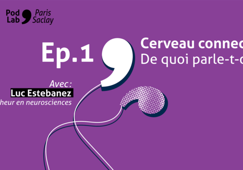 Cerveau connecté (1)