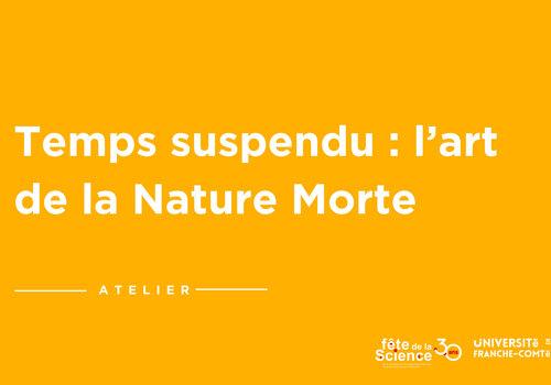 Temps suspendu : l’art de la Nature Morte