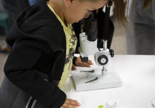 Stand La Drôme Laboratoire - Village des Sciences 2019 Enfant observant au microscope