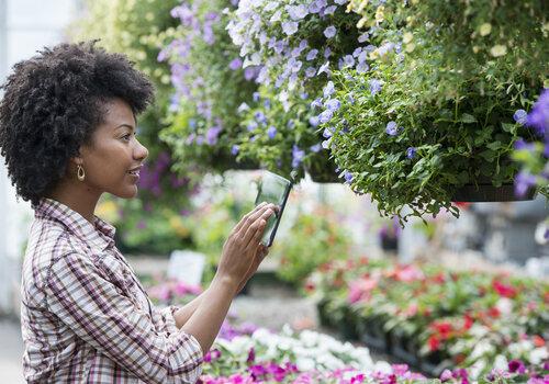 A la découverte des plantes qui nous entourent !